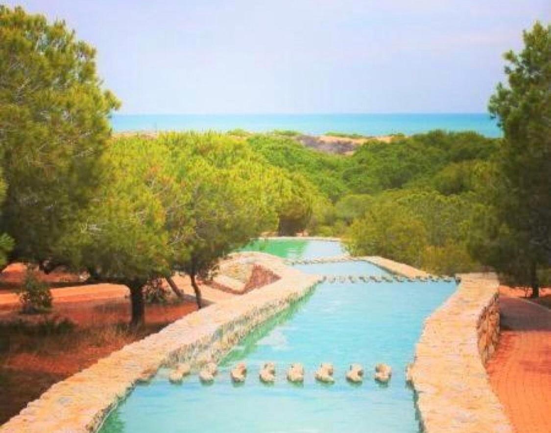 Apartment With Pool & Balcony Less Than 10Min Walk To La Mata Beach! Torrevieja Buitenkant foto